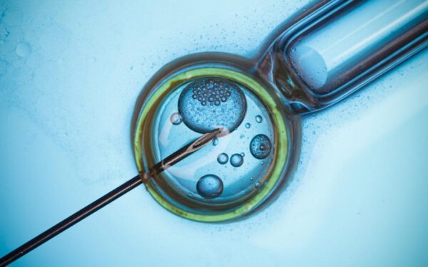 What does a Fertility Clinic do?