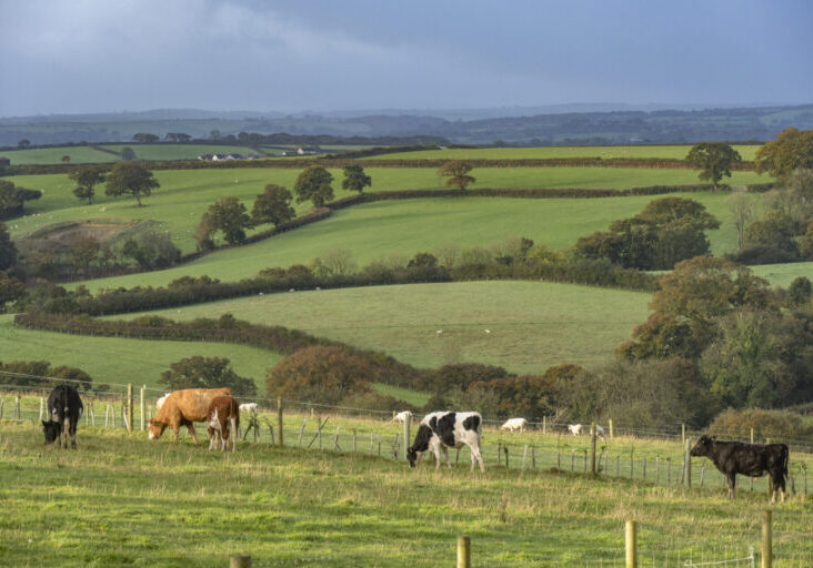 West country farmland in cornwall and devon