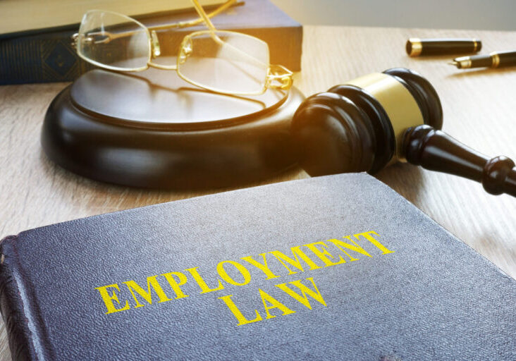 Employment law in a court. Labor code concept.